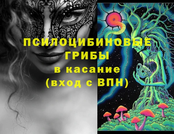 дурь Алексеевка