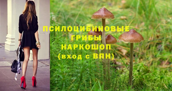 эйфоретик Алексин