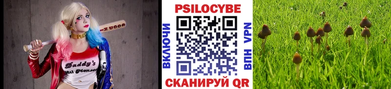 Галлюциногенные грибы MAGIC MUSHROOMS  Кореновск 